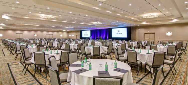 希尔顿米西索加/梅多韦尔酒店(Hilton Mississauga/Meadowvale)图片