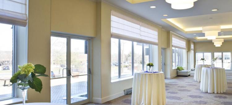 巴尔的摩白色沼泽希尔顿花园酒店(Hilton Garden Inn Baltimore/White Marsh)图片