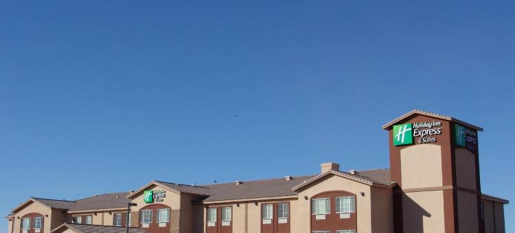 智选假日套房酒店卡萨格兰德(Holiday Inn Express & Suites CASA GRANDE by IHG)图片