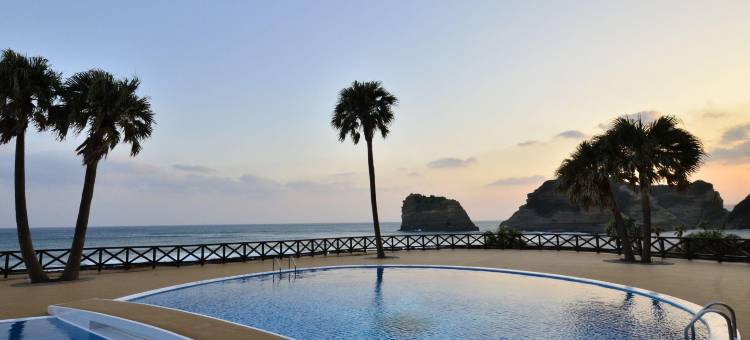 种子岛岩崎酒店(Tanegashima Iwasaki Hotel)图片