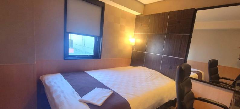 刈谷Access Inn酒店(Access Inn Kariya)图片