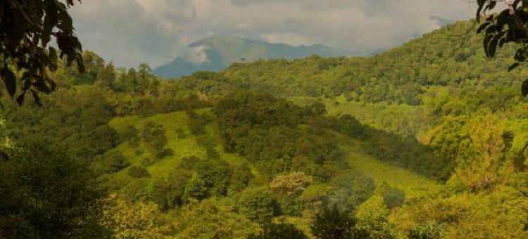 Wayanad Wild- CGH Earth图片