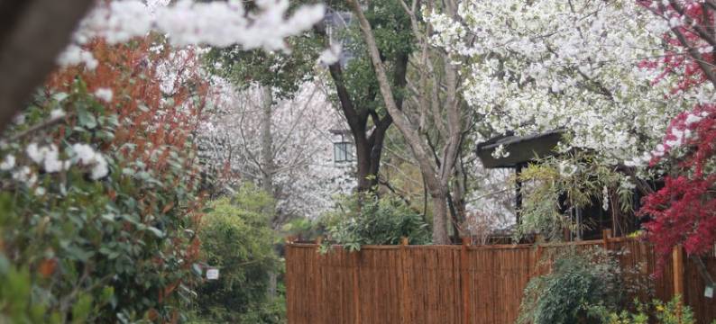 乌镇悦景庄362西栅东栅景区度假别墅(子夜路分店)图片