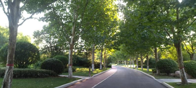 新乡原阳立功宾馆图片