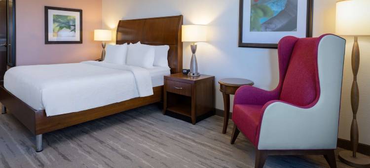 罗阿诺克希尔顿花园酒店(HIlton Garden Inn Roanoke)图片