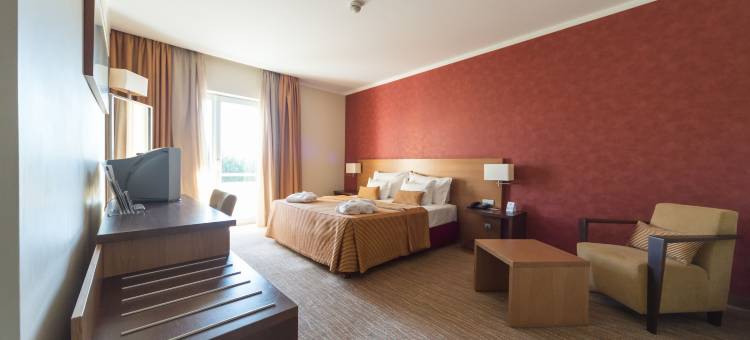 路西塔尼亚会议及水疗中心酒店(Hotel Lusitania Congress & Spa)图片