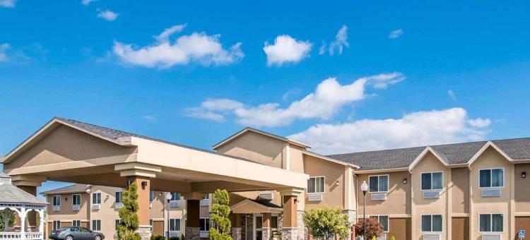 索格蒂斯舒适酒店(Comfort Inn)图片