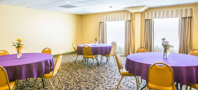 近棕榈州立公园的冈萨雷斯舒眠酒店及套房(Sleep Inn & Suites Near Palmetto State Park)图片