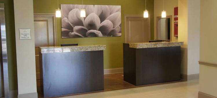 冈萨雷斯拉昆塔温德姆套房酒店(La Quinta Inn & Suites by Wyndham Gonzales La)图片