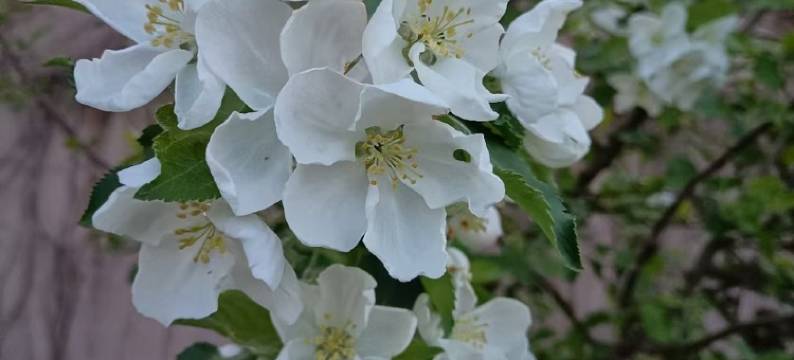 脑包特色荣府民宿(脑包路分店)图片