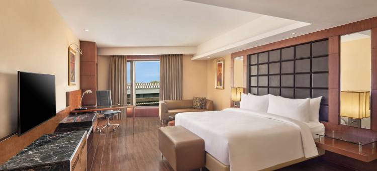 德里机场丽笙世嘉酒店(Radisson Blu Plaza Delhi)图片