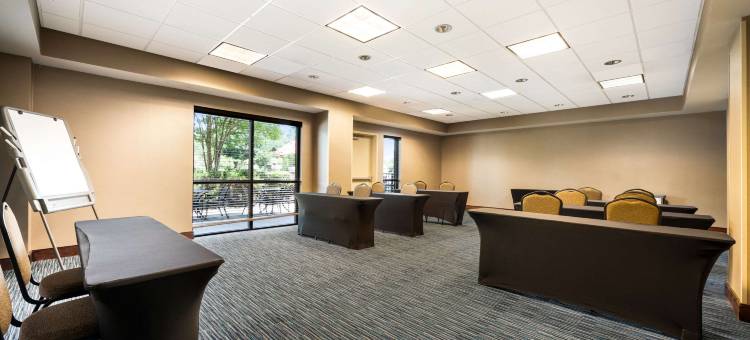 北湖舒适套房酒店(Comfort Suites Northlake)图片