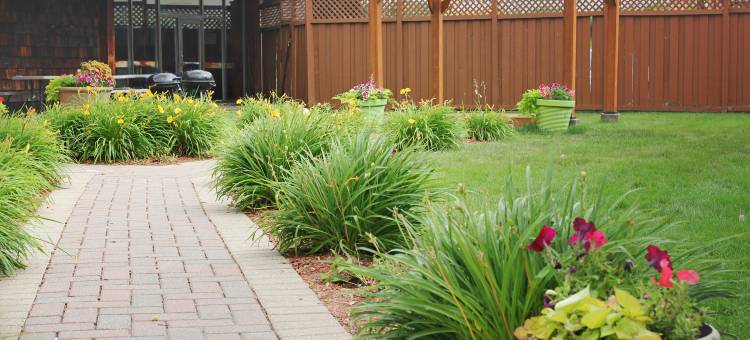 明尼阿波利斯罗斯维尔希尔顿逸林酒店(DoubleTree by Hilton Roseville Minneapolis)图片