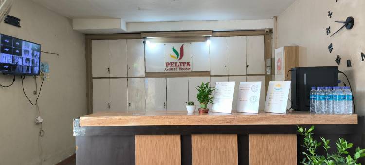 佩利塔格斯特豪斯(Pelita Guest House)图片
