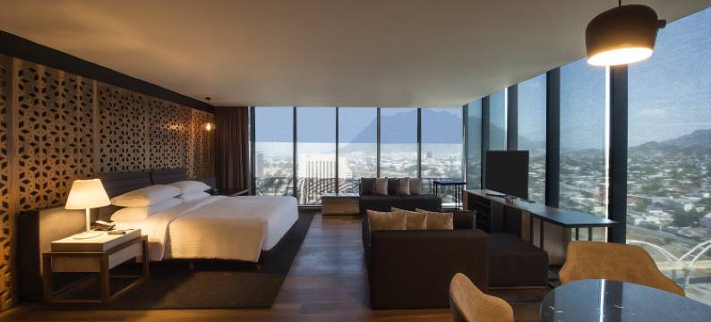 美洲嘉年华蒙特雷帕韦永M.酒店(Fiesta Americana Monterrey Pabellón M.)图片