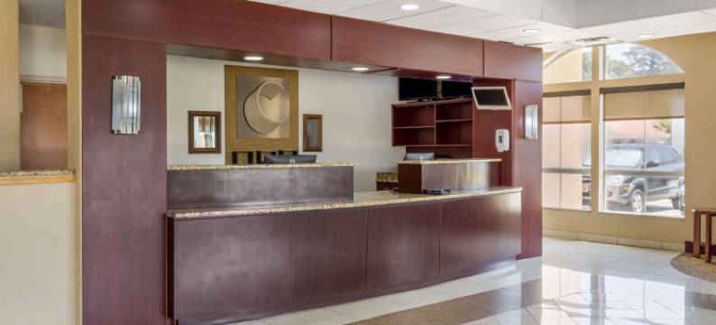 切萨皮克朴茨茅斯舒适套房酒店(Comfort Inn & Suites Chesapeake - Portsmouth)图片