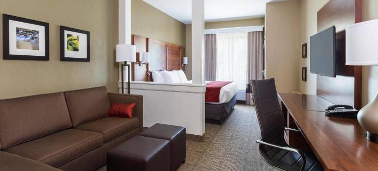 哈特维尔北坎顿舒适套房酒店(Comfort Suites Hartville-North Canton)图片