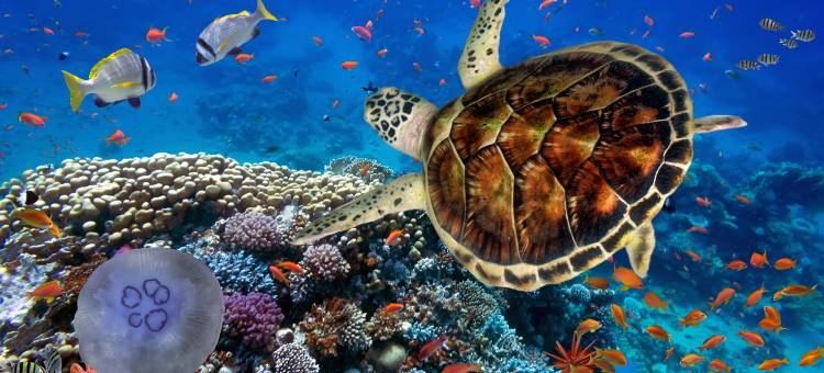 Candlewood Suites Chattanooga - Hamilton Place图片