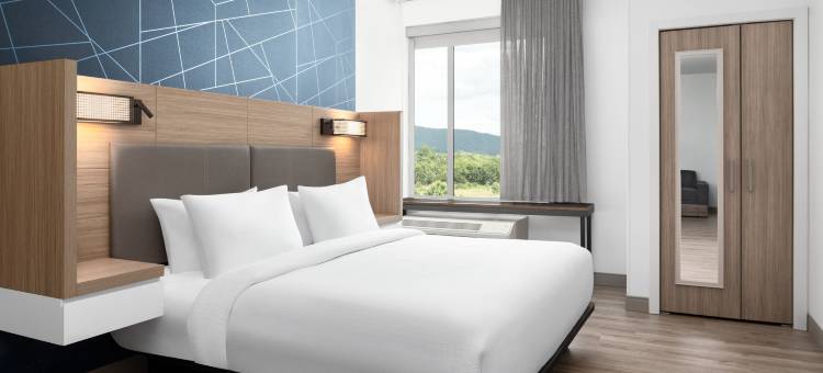 北罗阿诺万豪春丘酒店(SpringHill Suites Roanoke North)图片
