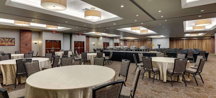 新奥尔良德鲁里广场酒店(Drury Plaza Hotel New Orleans)图片