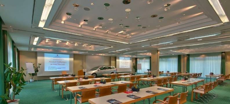 梅拉内酒店(Hotel Meerane)图片