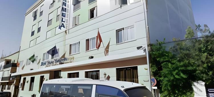 塞尔科蒂尔多纳卡梅拉酒店(Hotel Sercotel Doña Carmela)图片