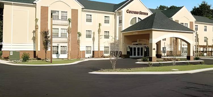 Spark by Hilton 布拉夫顿 希尔顿黑德岛(Spark by Hilton Bluffton Hilton Head Island)图片