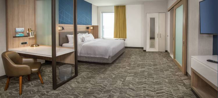 盖恩斯维尔干草市场SpringHill Suites酒店(SpringHill Suites Gainesville Haymarket)图片