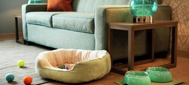 希尔顿美国大峡谷纳帕谷Home2套房(Home2 Suites by Hilton American Canyon Napa Valley)图片