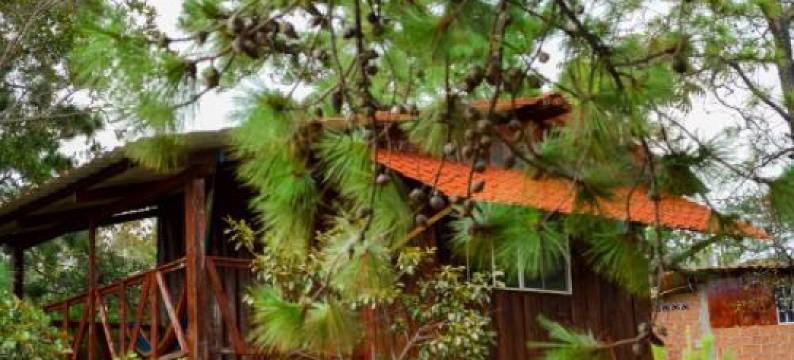 Hotel y Restaurante Las Margaritas图片