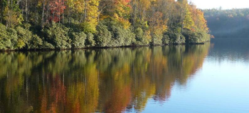 Lake Sam Rayburn - Plenty of boat parking图片