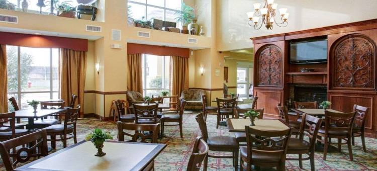 大学路舒适套房酒店(Comfort Suites University Drive)图片