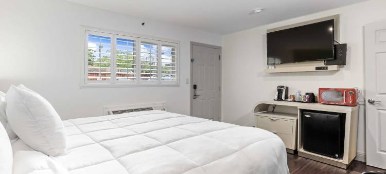 凯艺酒店-大学(Signature Inn Berkeley)图片