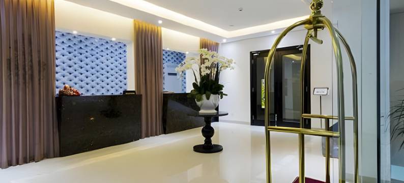 帕尔米尔酒店(Palmier Hotel - Art House Da Nang)图片