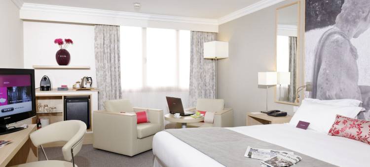 美居巴黎韦利济酒店(Hôtel Mercure Paris Vélizy)图片