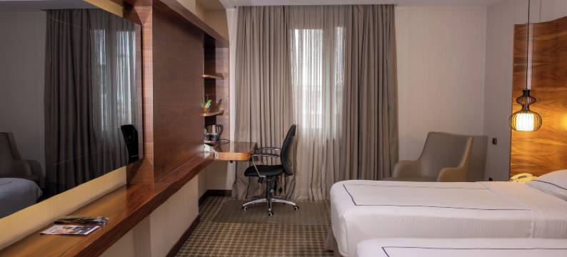 安卡拉海葵酒店(Anemon Kent Ankara Otel)图片