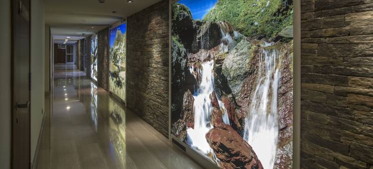 约莫中心(Yomo Centric)图片