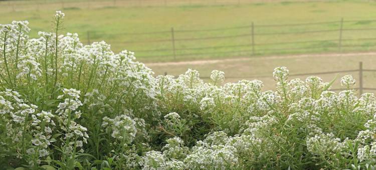 Gîte - 大型现代工作室(Gîte - Grand Studio Contemporain)图片