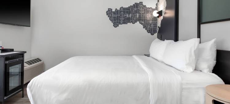 萨凡纳机场雅乐轩酒店(Aloft Savannah Airport)图片