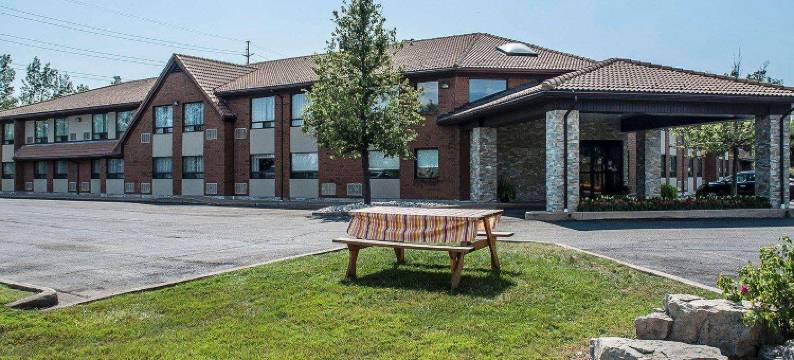 舒适酒店(Comfort Inn)图片