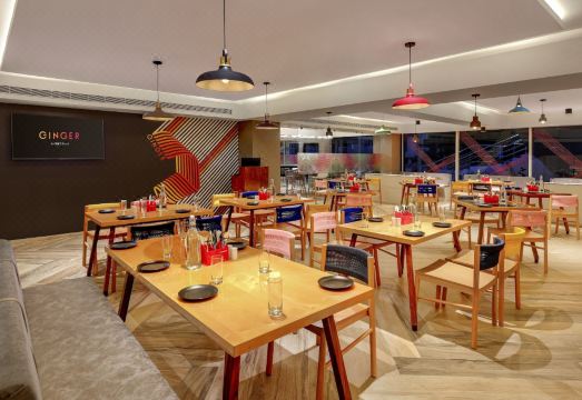 Ginger Vishakhapatnam GajuwakaHotel Overview