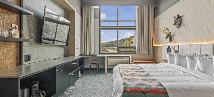 Everwild北欧Spa酒店(Everwild Nordic Spa & Hotel)图片