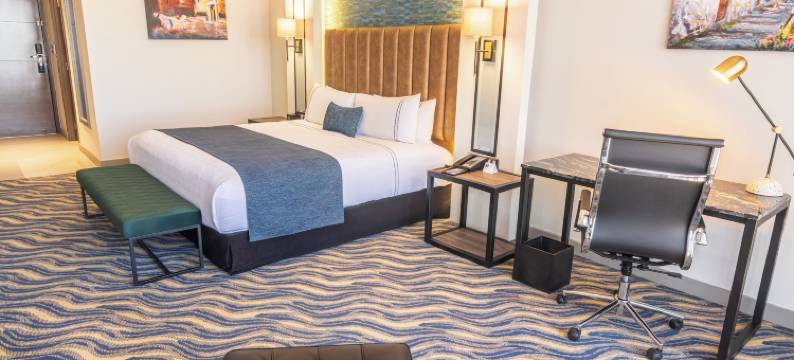 阿雷基帕索内斯塔酒店(Sonesta Hotel Arequipa)图片