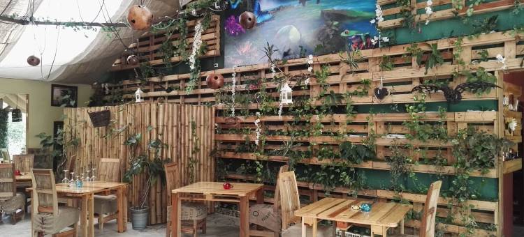 色乐斯特之星芬卡酒店(Hotel Finca L’Étoile Celeste)图片