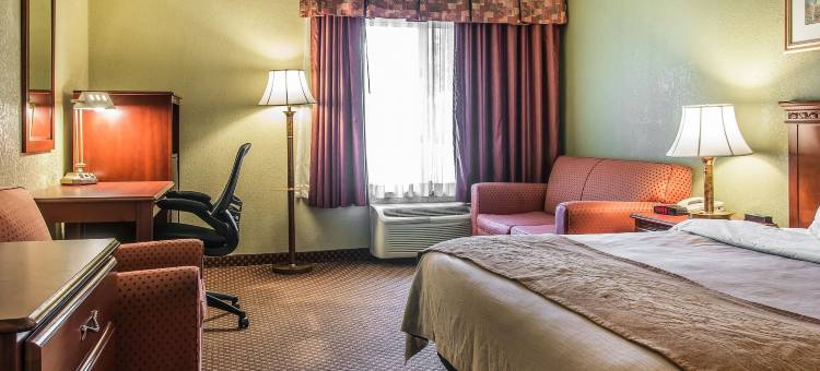 安阿伯高速公路23号凯艺套房酒店(Quality Inn & Suites Ann Arbor Hwy 23)图片