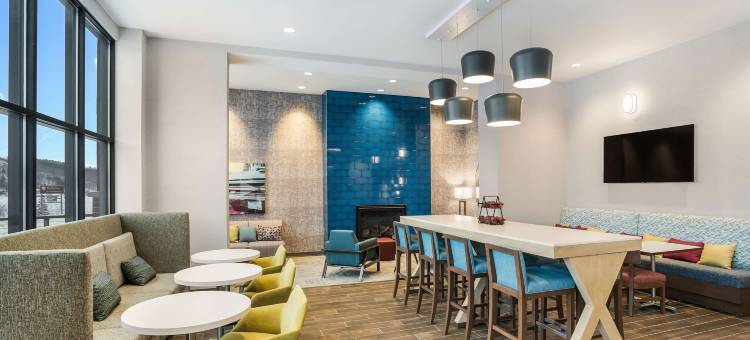 霍顿汉普顿套房酒店(Hampton Inn & Suites by Hilton Houghton)图片