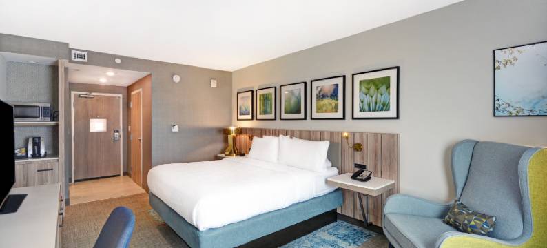 休斯顿霍比机场希尔顿花园酒店(Hilton Garden Inn Houston Hobby Airport)图片