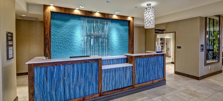 查尔斯顿/芒特普林森希尔顿花园酒店(Hilton Garden Inn Charleston / Mt. Pleasant)图片