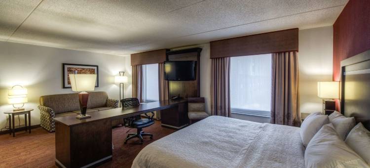 希尔顿欢朋套房酒店-底特律机场罗穆勒斯(Hampton Inn & Suites Detroit/Airport-Romulus)图片