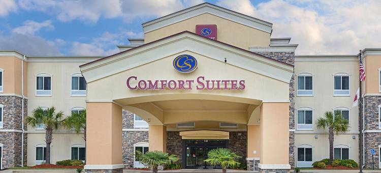 舒适套房酒店(Comfort Suites Leesville Near Fort Johnson)图片
